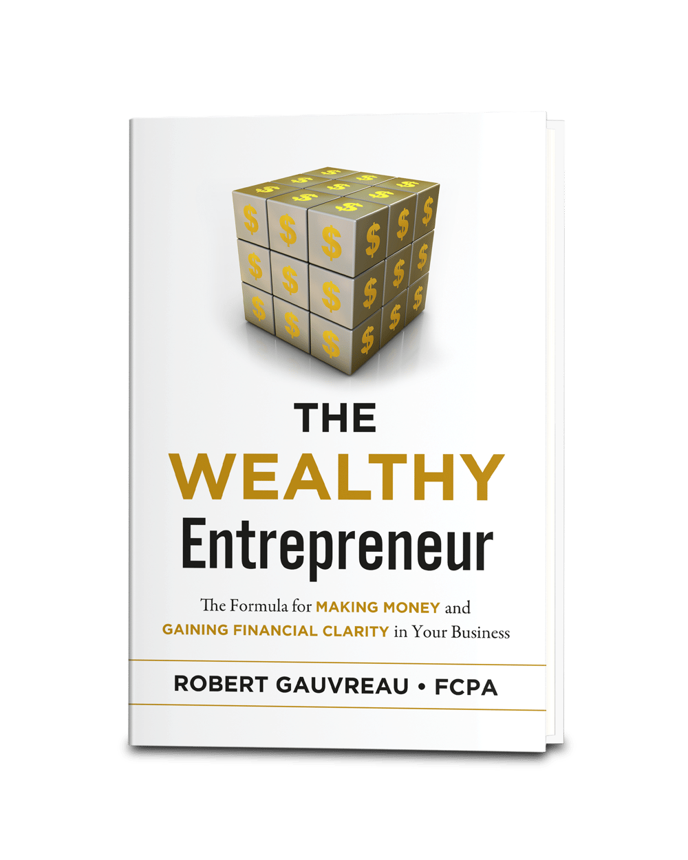 Wealthy Entrepreneur - 3DV3